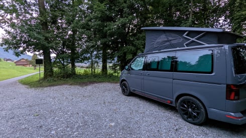 California BEACH edition