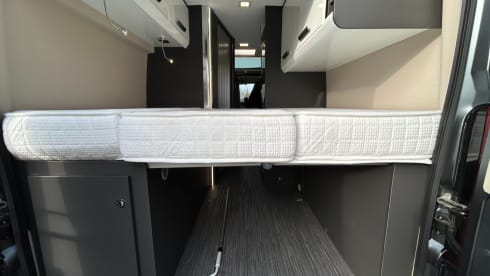 MCT – 2p Fiat bus from 2021