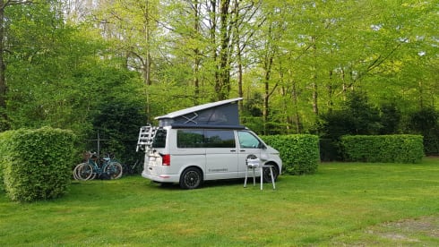 VOLKSWAGEN CALIFORNIA COAST dec2020