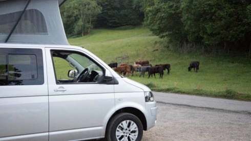 Silver VW Camper – Luxury VW Camper Lake Windermere