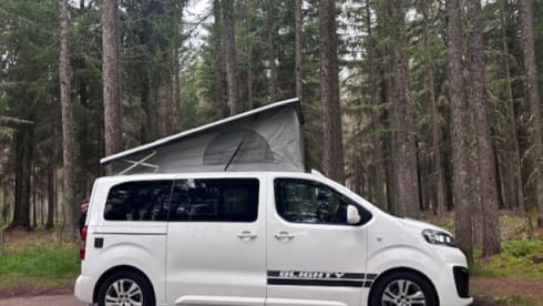 Blighty – New Pop Top Campervan 4 Berth