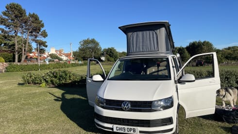 Quicksilver  – White VW T6 Four Berth.