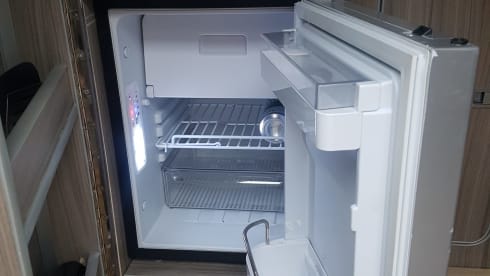 Salty sea dog  – 4 berth Volkswagen bus from 2012