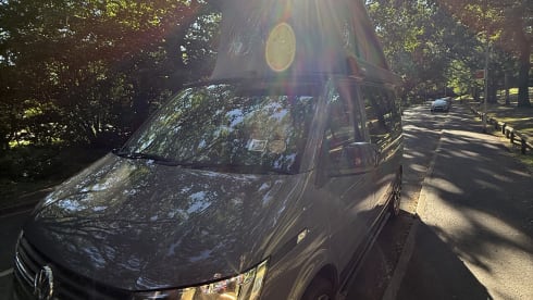 Lola – Volkswagen T6.1 - Ready for adventure on your terms
