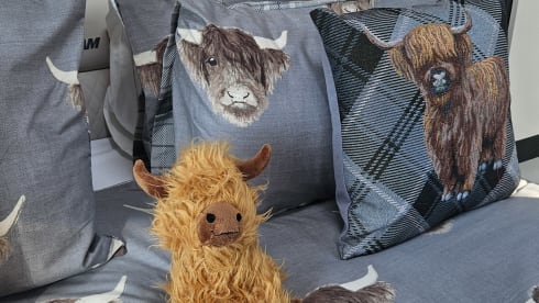 Rollerteam - Saundersfoot – 4 berth Roller Team semi-integrated from 2025