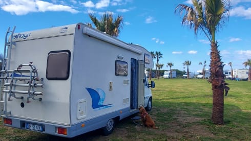 Attic 6 places for the family