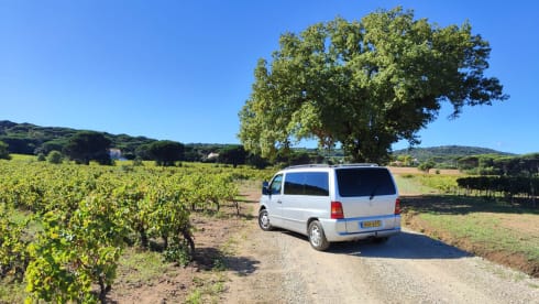 Danny de Vito – Mercedes-Benz Vito camper van 