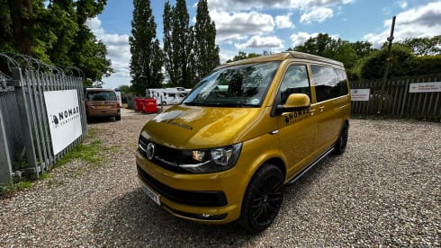 Goldie LONDON – RK69RPY - Adventure with Goldie, the 4 Berth Nomad Volkswagen, Romford