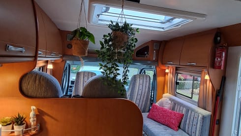 Gemütliches, voll ausgestattetes Wohnmobil für 4 Personen mit allen Annehmlichkeiten. 