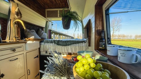 Richard – Ecological Self-Build Camper (Automatic) - Opel Movano 2015 – Richard 