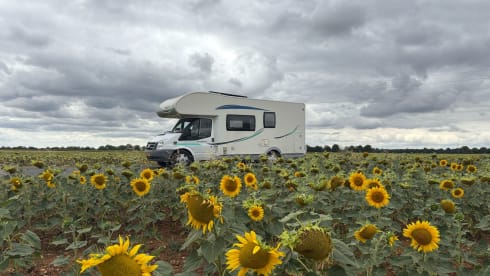 Diesel de roze schaats (kids zijn creatief 😄) – Comfortable and complete 6p alcove camper
