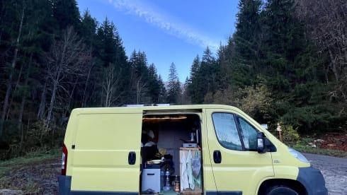On the road with Sunny
