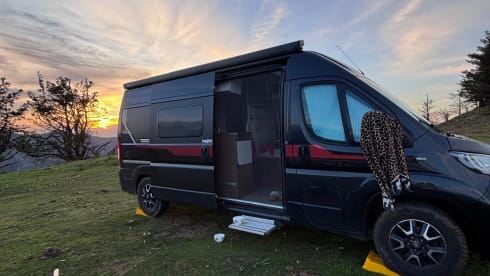 2p Fiat bus uit 2019