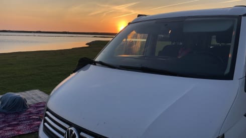De Witte – Adventurous Volkswagen California T6 - 4 pers. 