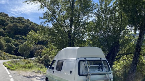 Koos – Trendy T4 - luxury bed - 1:14!