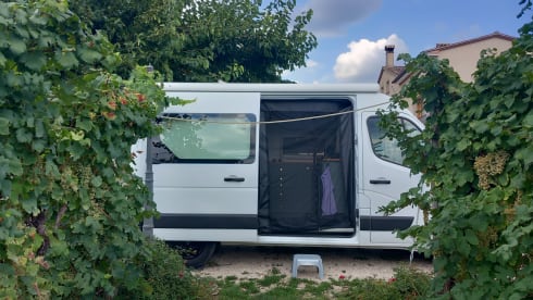 Renault-Bus mit 2 Sitzplätzen aus dem Jahr 2016