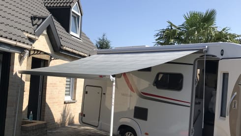 Stef – Magnificent discovery