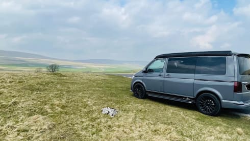 Mango 🥭 – TOP SPEC! Luxury, Easy Drive, 4 berth Volkswagen T6- 2022