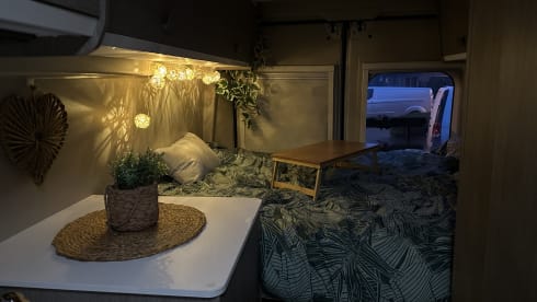 Dreamer – 2p Challenger bus from 2021