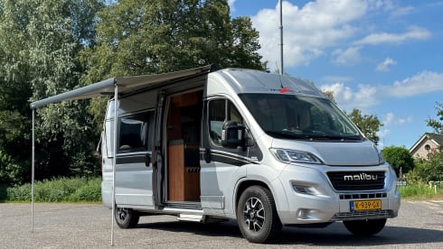 2p Fiat bus from 2018