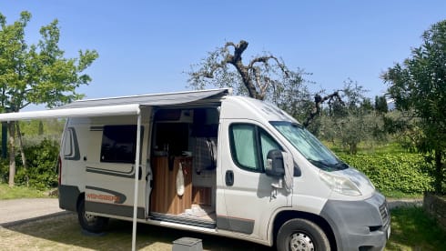 GINNY – small but has everything