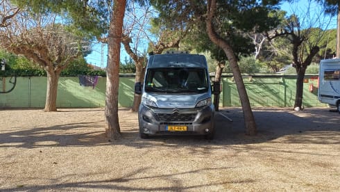 Pössl Camperbus