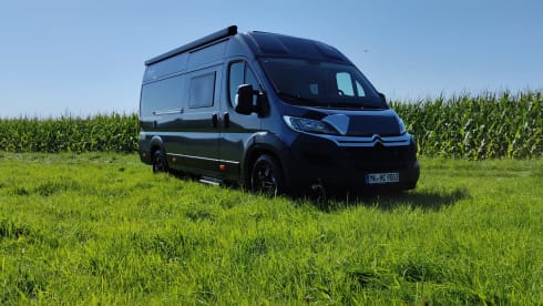 Großer Premium Hannes – Hannes Camper - Large Hannes Camper