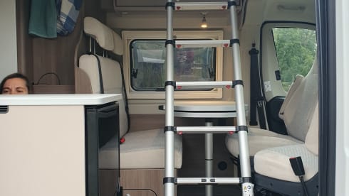 Bingo – 4p Carado bus from 2025