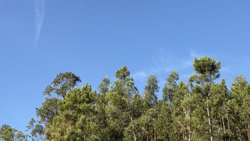 StoryBus  – Mercedes-Benz Wohnmobil für 2 Personen aus dem Jahr 2009