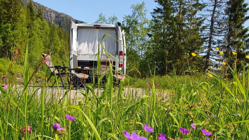 QPO "Zo wijd de wereld strekt"        " – Reliable and well-maintained bus camper.