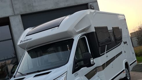 Benimar cocoon 488 2022