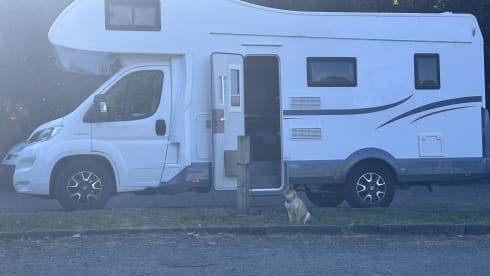 Vanessa – 6 berth Fiat alcove from 2021