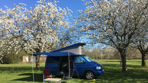 The Blue Diamond – Volkswagen T4 | BlueDiamond | Powerhouse 2.5TDI - 115HP 2 to 4 people