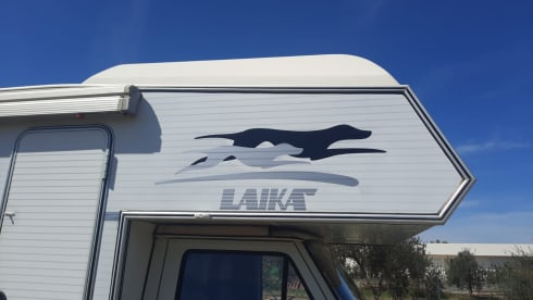 Raffy – Laika lasercar 620 overcab