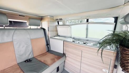 Vanessa – 4p Other campervan from 2024