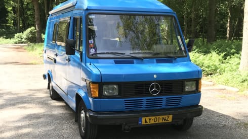 Lynz – Cheerful camper van Westfalia