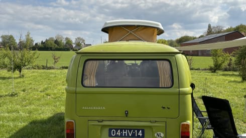 The Hulk – Westfalia – Beautiful Classic Camper For Rent! 