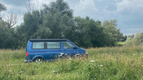 Blue California – 4p Volkswagen campervan from 2011