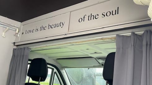 Missy 🚐💚 – Autobus Fiat 2p del 2005