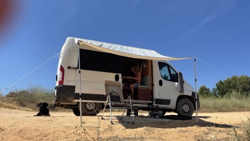 Surf Camper – Off Grid Camperbus Fiat Ducato L2H2 (for hot and cold days)