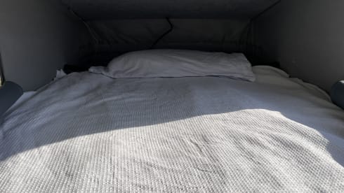 El Grando – Nissan Elgrand campervan 