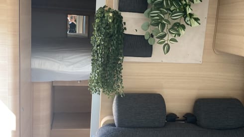 Knusse Knaus – 2 person Knaus from 2010
