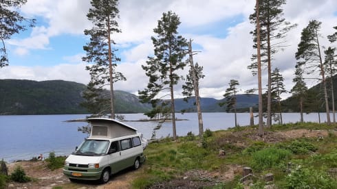 4p Volkswagen bus from 1995