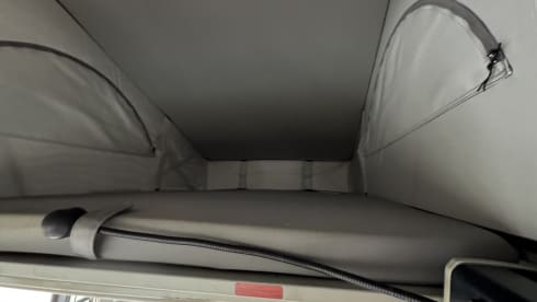 VW T5 California TDI