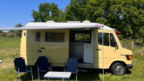 Chou – Charmante Mercedes 207D camperbus uit 1981