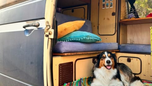 Quatro B – Volkswagen T3 baby blue