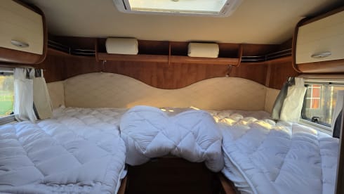 Plexat – 6p Fiat alcove from 2013