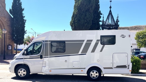 Van 337 – 3p Carado bus from 2024
