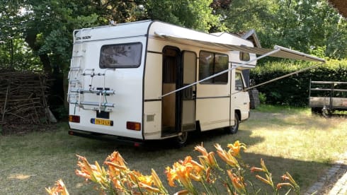 Lief Gebakje – Sweet Cake: XL bed, cozy and complete