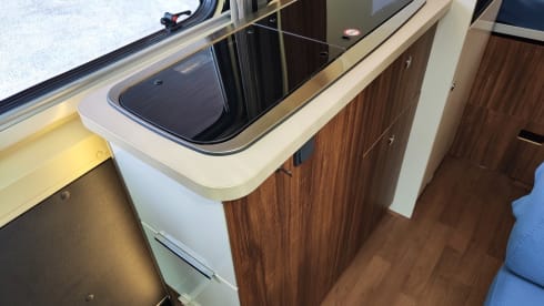 Living Stone 2 – LAIKA Ecovip 300